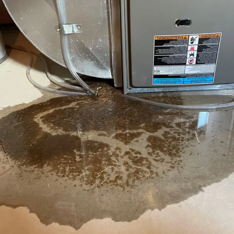Pipe Burst and Leak Restoration in Hernando, MS